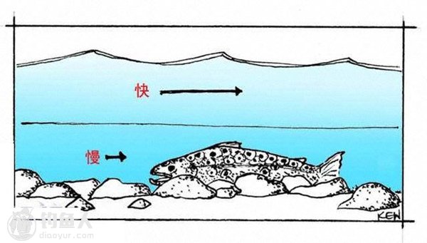 飞蝇溪流钓法之鳟鱼的喜爱标点分析