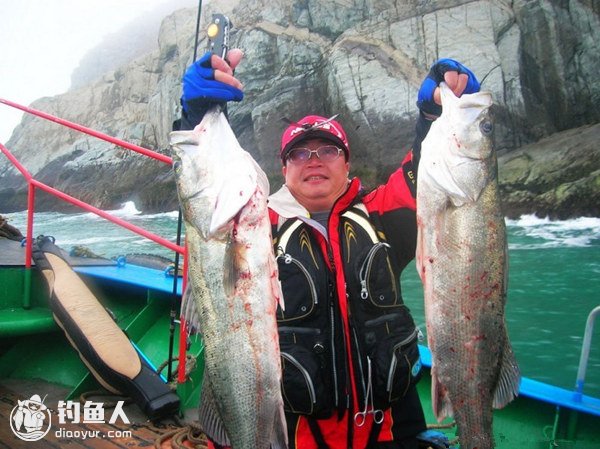 近海路亚抛钓海鲈鱼的装备选择及垂钓要点