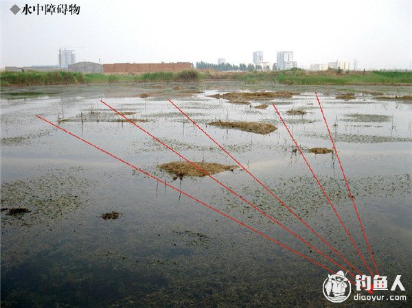 路亚雷强钓场的作钓路径选择