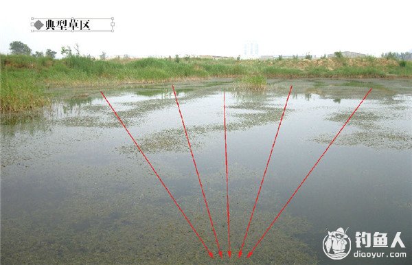 路亚雷强钓场的作钓路径选择