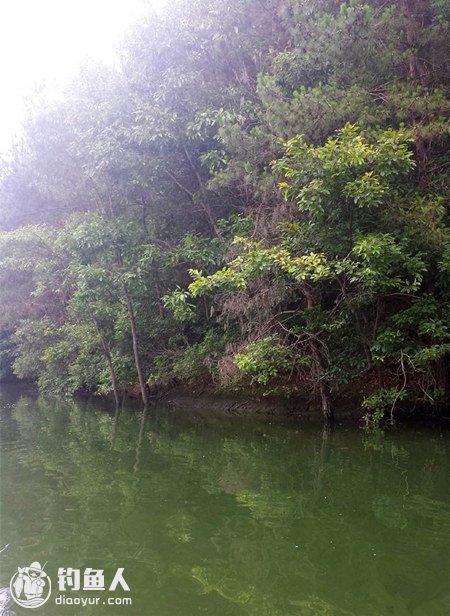 盛夏季节深水路亚作钓的用饵思考