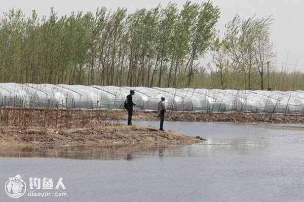 雷强路亚的标点选择与技法的初探