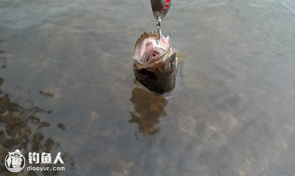 野场路亚钓鳜鱼的六大心得分析