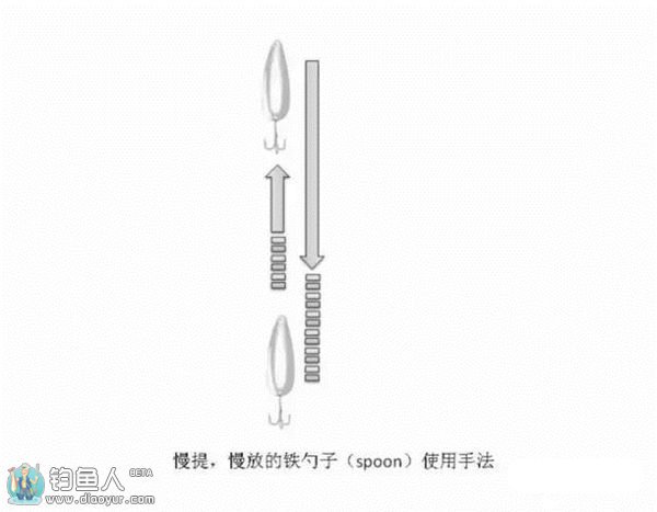 路亚鲈鱼的勺子拟饵操控技巧