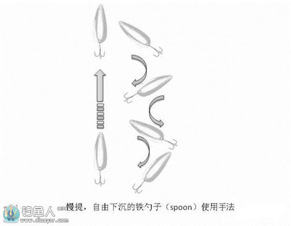 路亚鲈鱼的勺子拟饵操控技巧