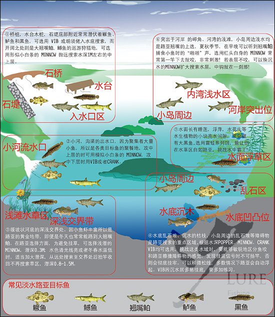 四季、水域、对象鱼的路亚标点分析与选择