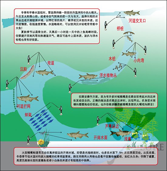 四季、水域、对象鱼的路亚标点分析与选择