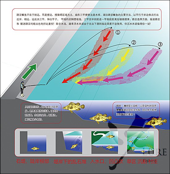 四季、水域、对象鱼的路亚标点分析与选择