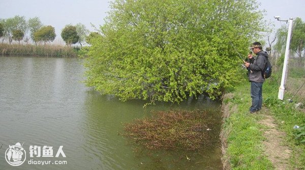 浅析大嘴鲈鱼的季节性习惯