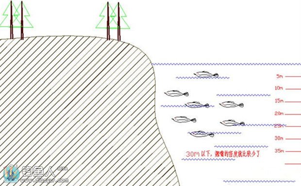 冬日水库路亚翘嘴详解（标点、用饵）