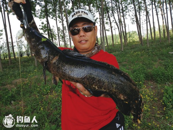 雷强跑鱼及炸水后扬竿不中鱼的原因