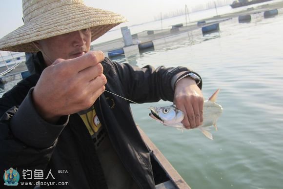 骆马湖路亚翘嘴爆扣（附路亚饵超控手法）