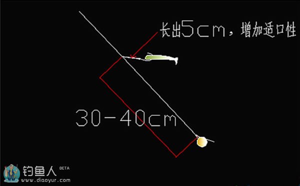 浅析冬日路亚翘嘴的精细钓法