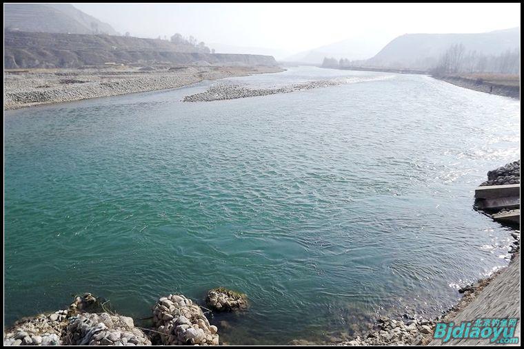 路亚新手洮河路获野生大虹鳟[西风烈野钓]