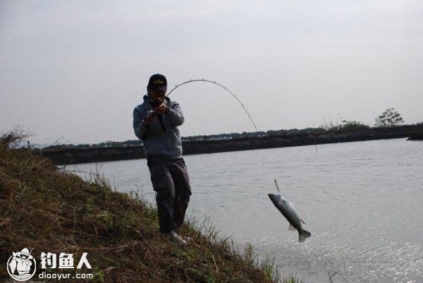 路亚拟饵的浮性与沉性探讨：浮饵篇