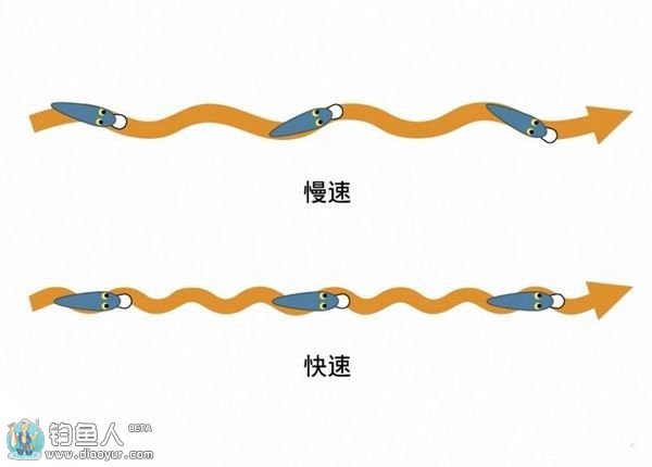 路亚的操作步骤以及抛投技巧