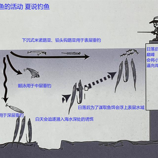 「路亚钓」 重要钓法之带鱼钓法，日本专业钓鱼书籍