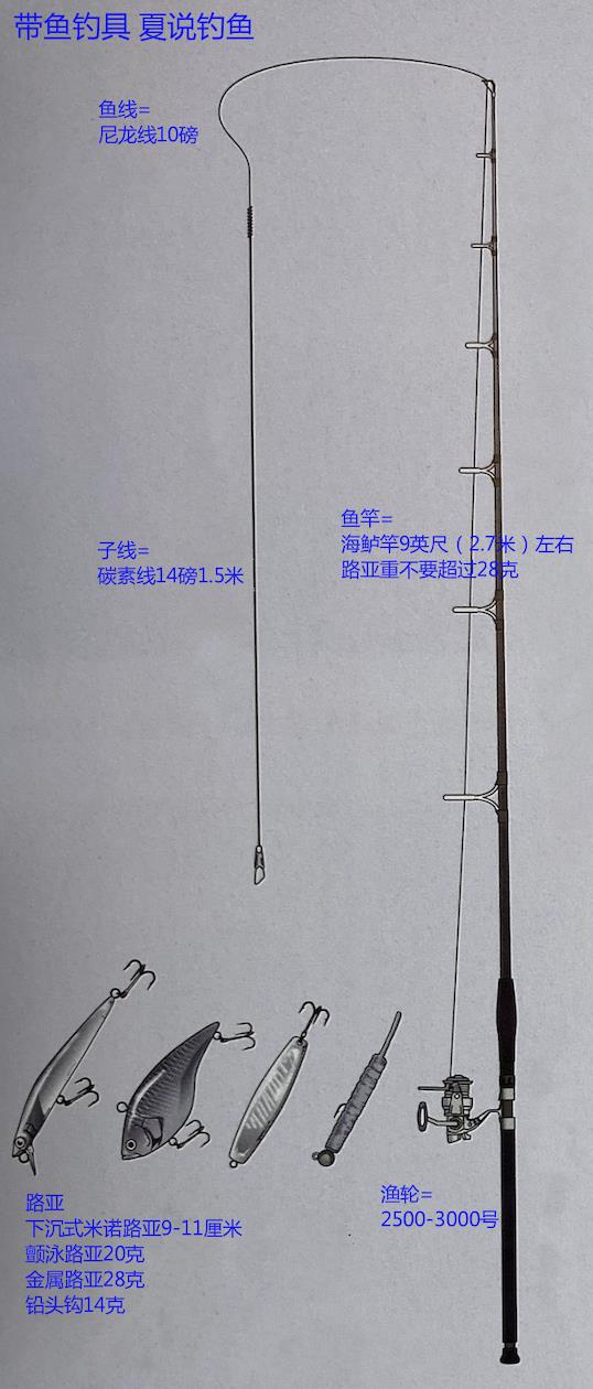 「路亚钓」 重要钓法之带鱼钓法，日本专业钓鱼书籍