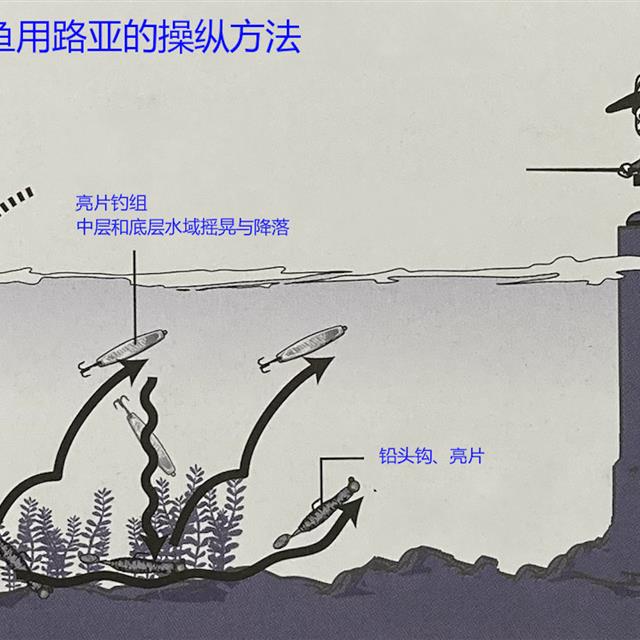 「路亚钓」 重要钓法之真鲷鱼钓法，日本专业钓鱼书籍