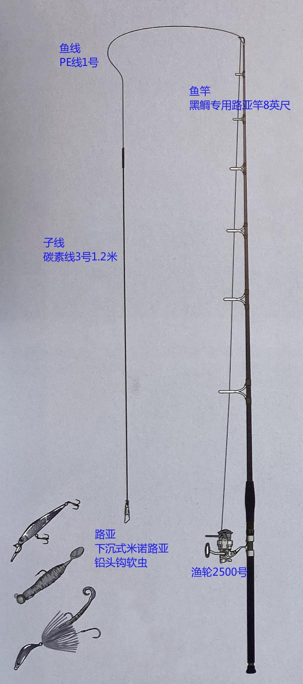 「路亚钓」 最重要钓法之黑鲷鱼钓法，日本专业钓鱼书籍