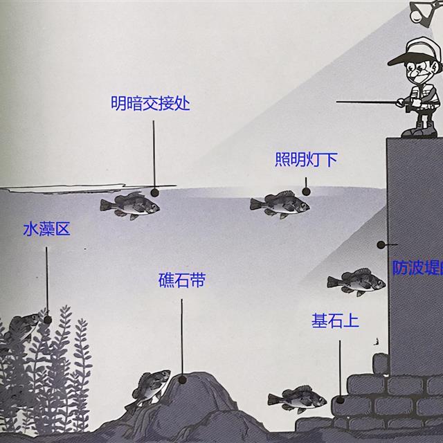 「路亚钓」 最重要钓法之眼张鱼钓法，日本专业钓鱼书籍