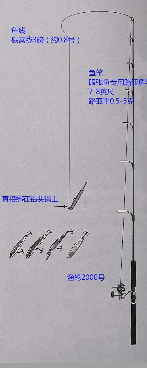 「路亚钓」 最重要钓法之眼张鱼钓法，日本专业钓鱼书籍