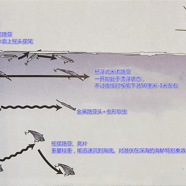 「路亚钓」 最重要钓法之海鲈钓法，日本专业钓鱼书籍