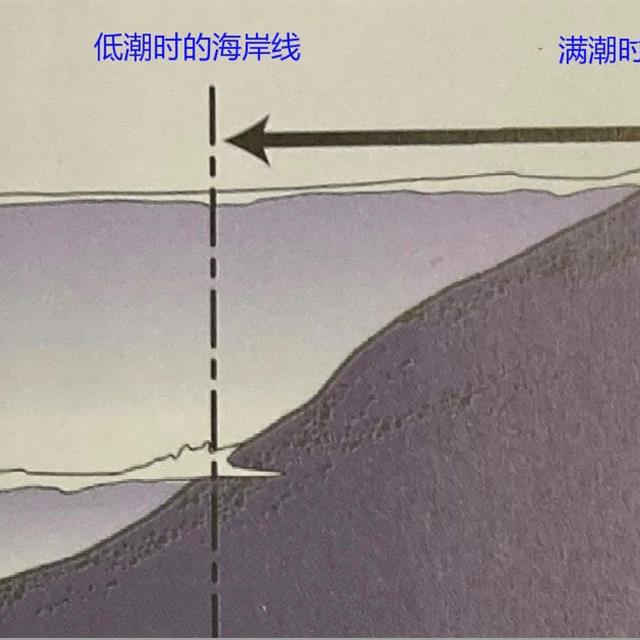 「路亚钓」 钓鱼的涨潮落潮，日本专业钓鱼书籍