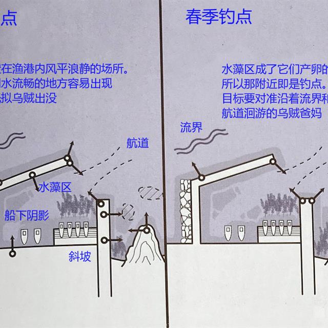 「路亚钓」 重要钓法之莱斯利乌贼钓法，日本专业钓鱼书籍