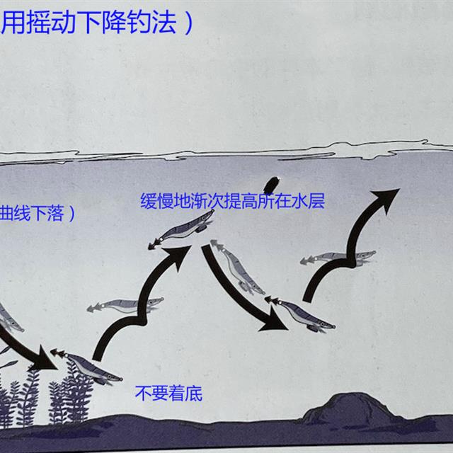 「路亚钓」 重要钓法之莱斯利乌贼钓法，日本专业钓鱼书籍