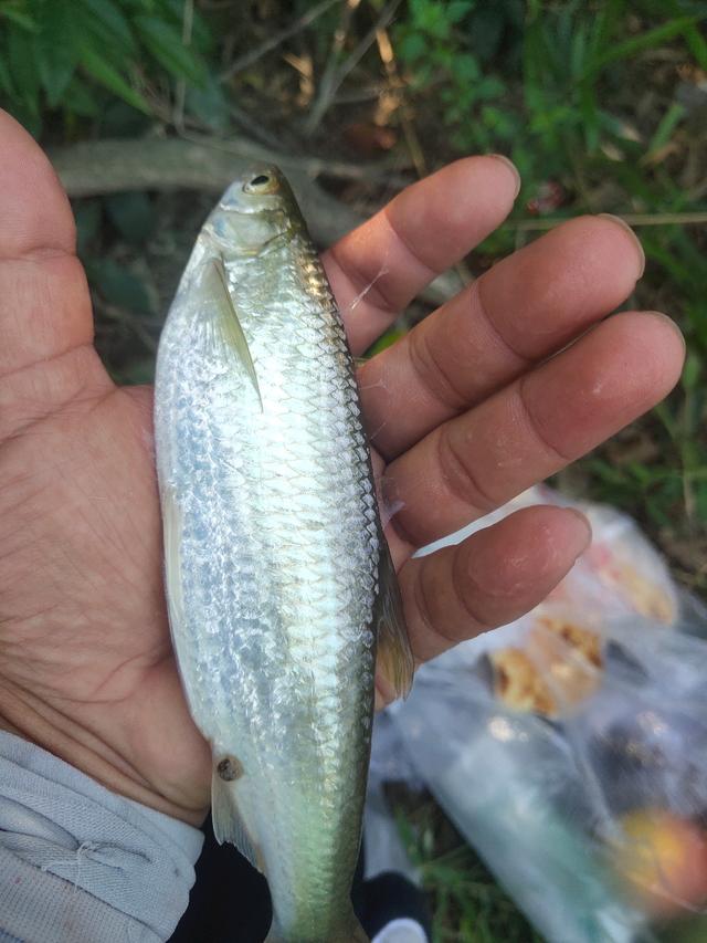 老钓鱼人的肺腑之言，冬季钓鱼要改的不仅是钓法，还有思路