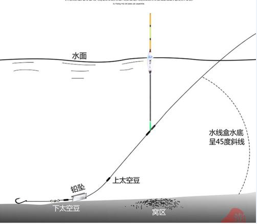 新手刚学钓鱼，怎么避开小杂鱼闹窝，以下几个实用技巧不妨一试