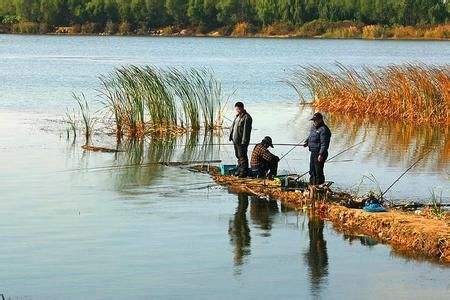 新手钓鱼基础知识，秋天钓鱼虽然是“黄金季节”，但是选对天气出钓才是关键