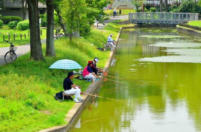 夏天野钓自然水域，遇到闷热天气或者阴雨天气，气压低怎么钓鱼？