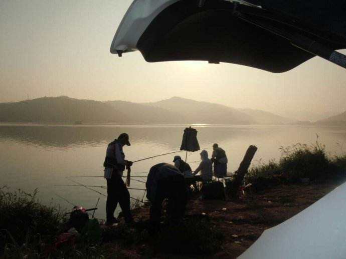 夏季三伏天钓鱼，什么时间去钓鱼最好 ？以下三个时间段可选