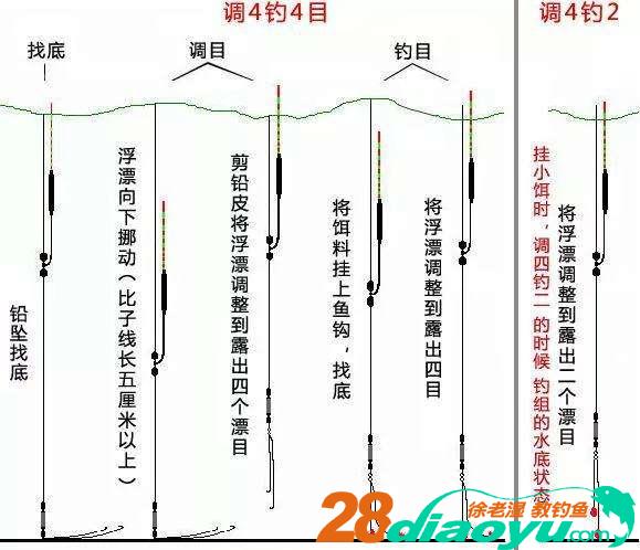 新手初学钓鱼，掌握好哪些钓鱼技巧，才能快速提高钓鱼水平？