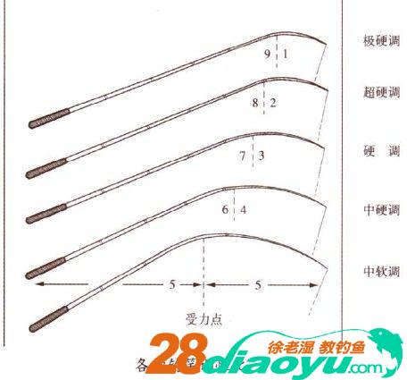 新手学钓鱼之怎么选鱼竿，台钓手竿入门知识必学