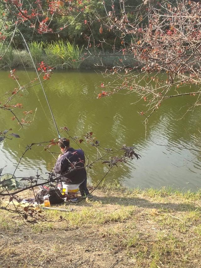 老钓鱼人厉害了，冬天钓鱼看风向就知道能不能去钓鱼