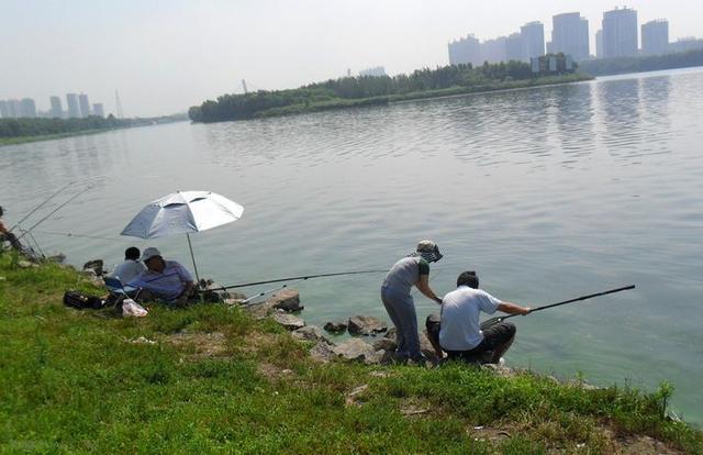 鱼口轻弱，更换子线后效果不好，试试这一招