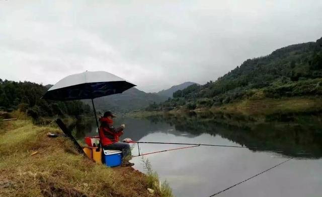 你为何经常钓不到鱼？不用纠结太多原因，无非是天时地利而已