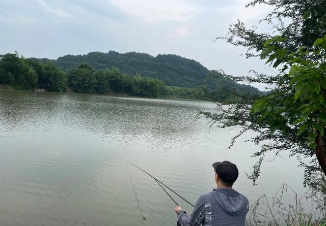 提升鱼获就靠这5招，别再抱怨水里没鱼