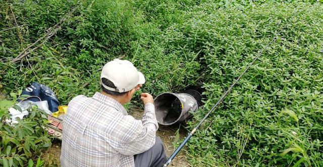 你比大爷钓鱼差的可能并不是钓技钓法