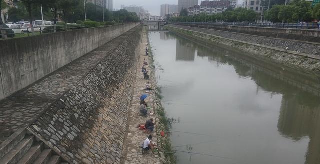 各种钓技满天飞！在钓鱼佬面前，鱼儿没有一点隐私吗