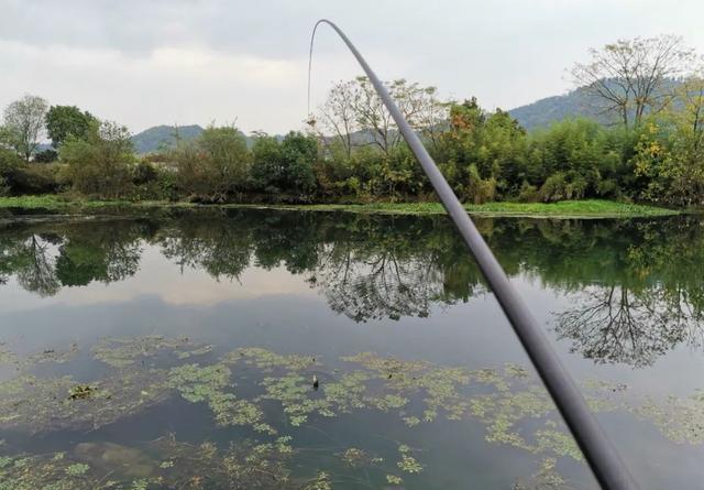 大鱼都跑到浅水了，你还守着深水能有好鱼获吗