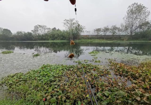 大鱼都跑到浅水了，你还守着深水能有好鱼获吗