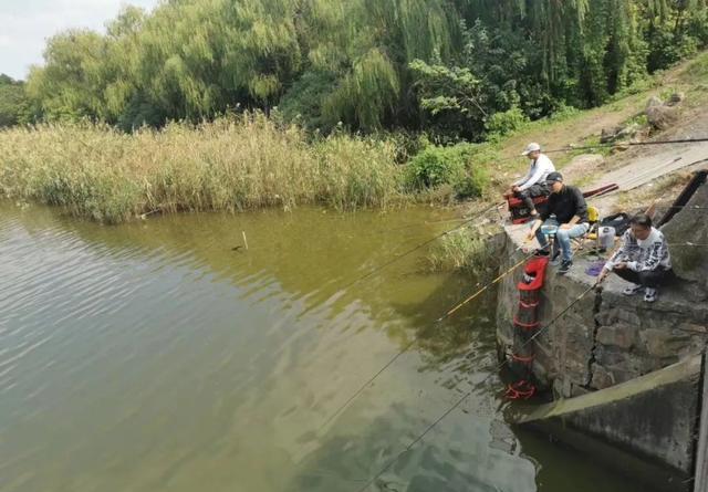 大鱼都跑到浅水了，你还守着深水能有好鱼获吗