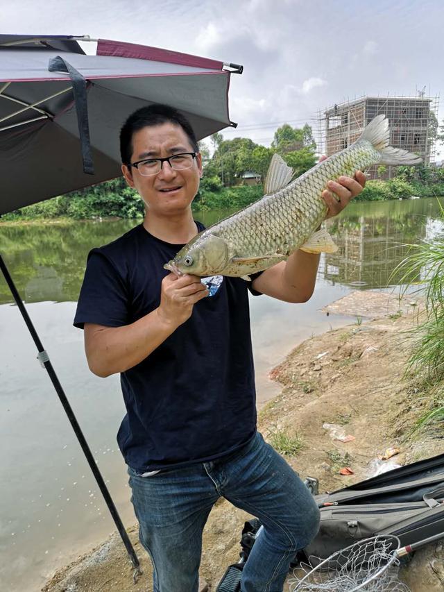 钓鱼越久竿越短？鱼线越细技术越高？你可别信这个邪