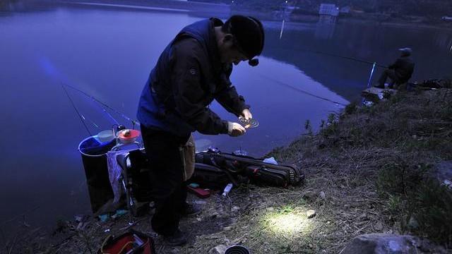 老钓友告诉你：记住这几招，浅水一样钓大鱼