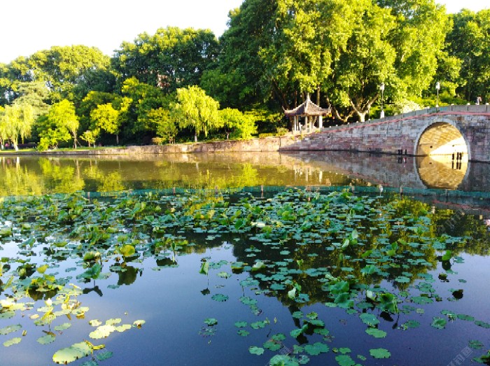 聊：钓轻口鱼的几点体会，助你更好的钓鱼