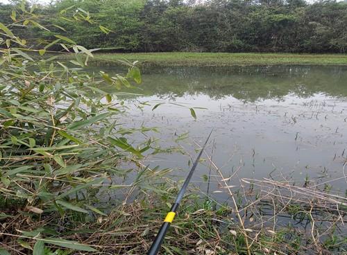 春雨之后水浑鱼难钓，新钓友学会这两招就可以